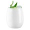 Solid White Elegant Stemless Plastic Wine Glasses - 12 oz. (64 Glasses)